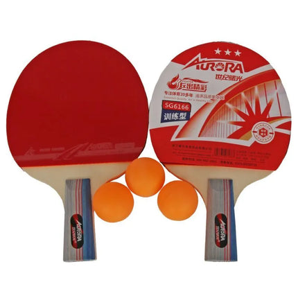 AURORA SG6166 stalo teniso rinkinys