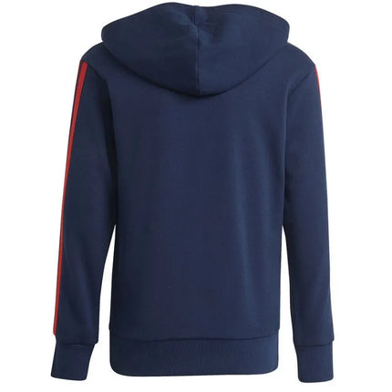 Džemperis Adidas Arsenal London FC Junior KG5138