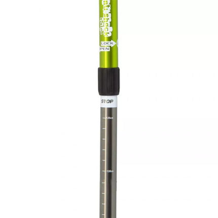 Enero Expedition žygio lazdos su dėklu, žalia 338696
