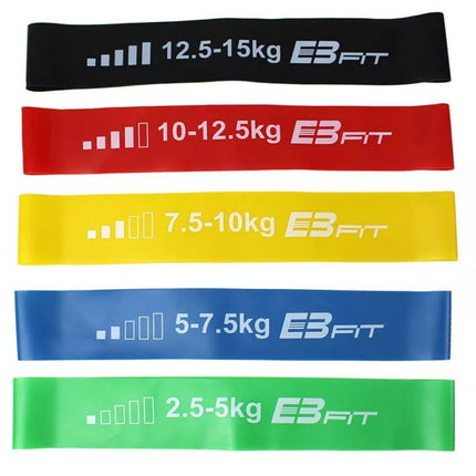 Fitneso ir Krosfito mini juostų rinkinys 5 viename EB FIT 1028842