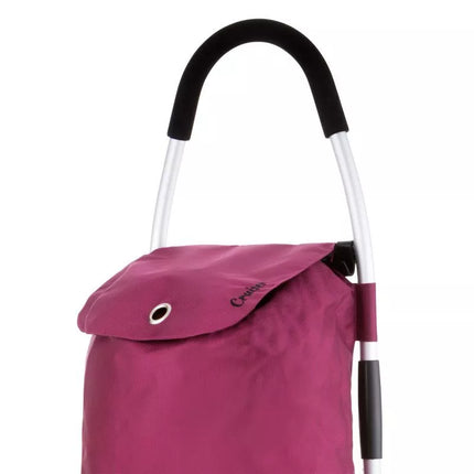Klasikinis "Premium" Pirkinių Vežimėlis 604319