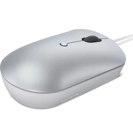 Lenovo 540 USB-C laidinė kompaktiška pelė, debesų pilka (Cloud Gray), GY51D20877