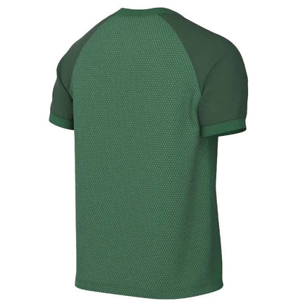 Marškinėliai Nike Dri-FIT Trophy VI HV8151-302