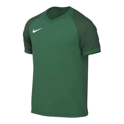 Marškinėliai Nike Dri-FIT Trophy VI HV8151-302