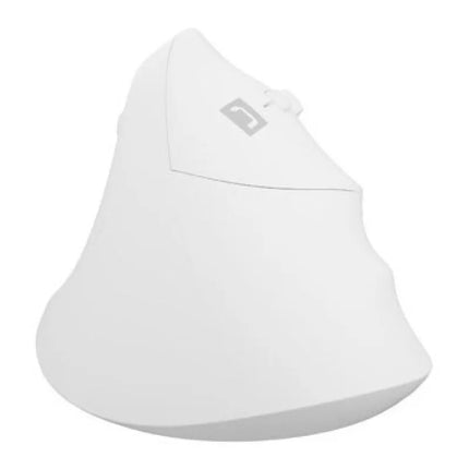 NATEC CRAKE 2 vertikali belaidė pelė, 2400 DPI, BT 5.2 + 2.4 GHz, balta
