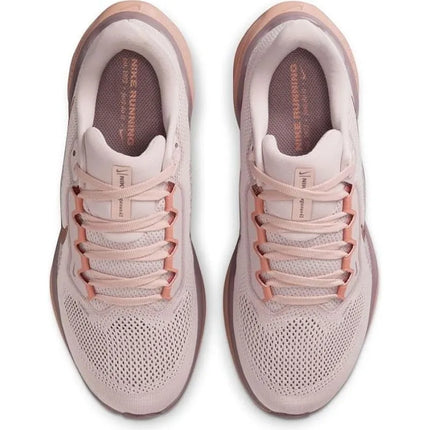 NIKE PEGASUS 41 (FD2723-604)