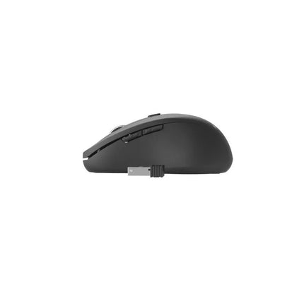 Pelė GEMBIRD MUSW-6B-01 (optinė; 1600 DPI; juoda)