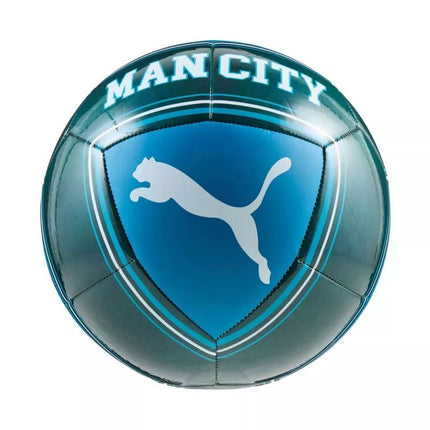 Puma MCFC Kultūrinis Futbolo Turkio Mėlyna 84976 13