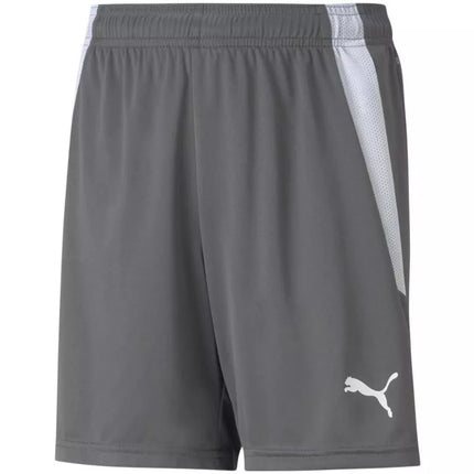 Puma teamLIGA Šortai Jauniems 704931 13