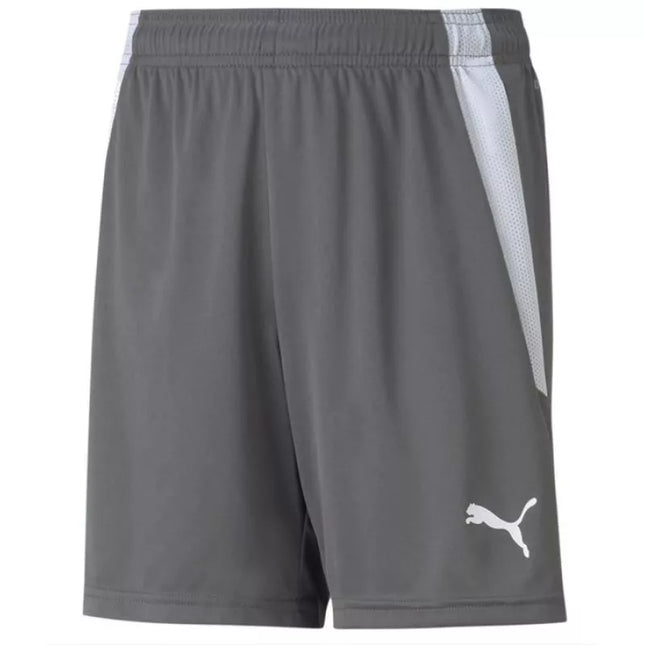 Puma teamLIGA Šortai Jauniems 704931 13