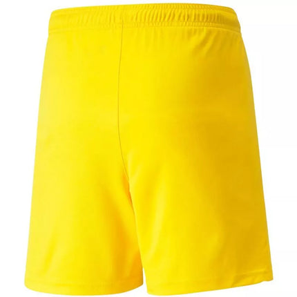 Puma teamLIGA Vaikiški Šortai 704931 07