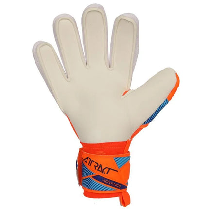 Reusch Attrakt Advance World Cup vartininko pirštinės 56 70 214 2290