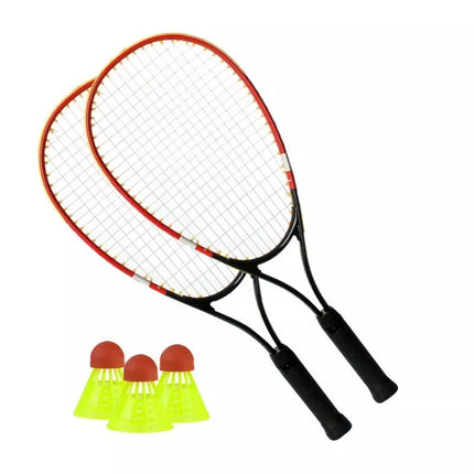 Techman speedmintono rinkinys