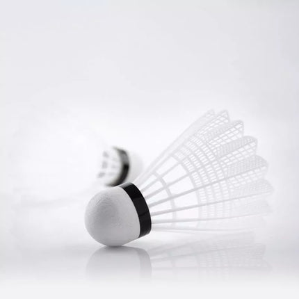Teloon TB017 Badmintono Raketės