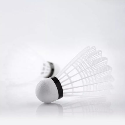 Teloon TB017 Badmintono Raketės