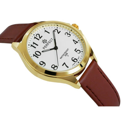 Vyriškas laikrodis GXB412-12 PERFECT
