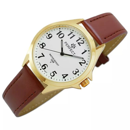 Vyriškas laikrodis GXB412-12 PERFECT