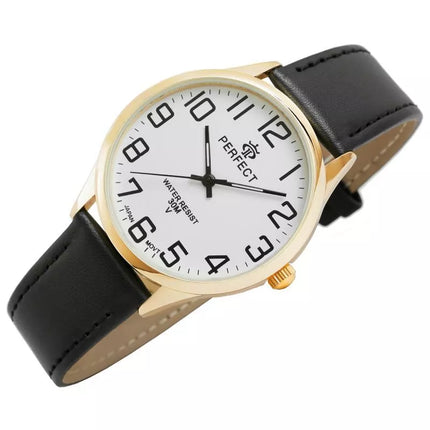 Vyriškas laikrodis GXB452-11 PERFECT