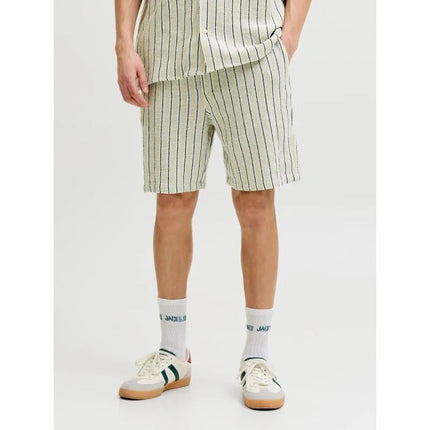 Vyriški dryžuoti „Jack&Jones“ šortai JPSTJAIDEN COBA STRIPE JOG SHORTS REG SN 12274413 TEA/STRIPES