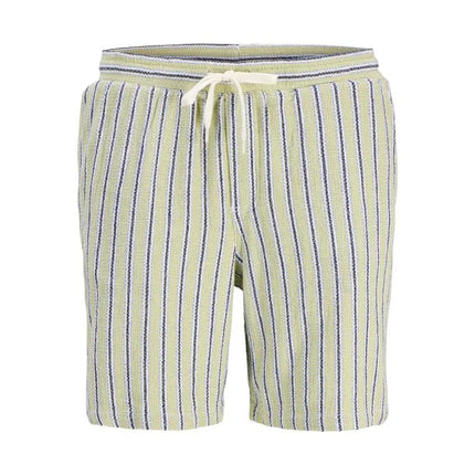 Vyriški dryžuoti „Jack&Jones“ šortai JPSTJAIDEN COBA STRIPE JOG SHORTS REG SN 12274413 TEA/STRIPES