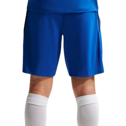 Vyriški „Nike“ Prancūzijos futbolo rinktinės „Dri-Fit FFF Strike“ šortai, mėlyni, IB4609 480