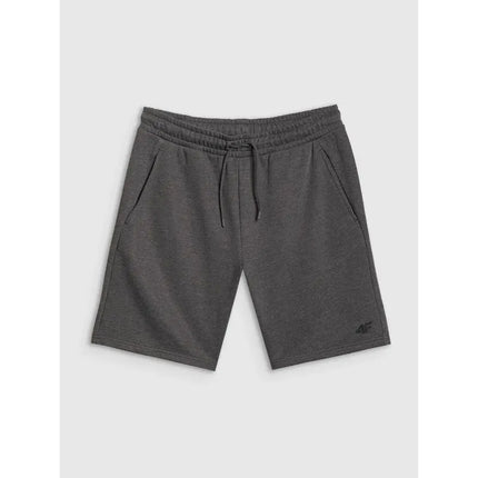 Vyriškos sportinės kelnės 4F 4FRSS26TSHOM0970-23M