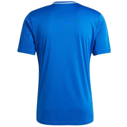Vyrų adidas Campeon 25 marškinėliai, mėlyni JD9099