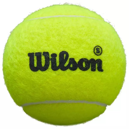 Wilson Premier Padel Speed 3 kamuoliukų rinkinys WR8908501001