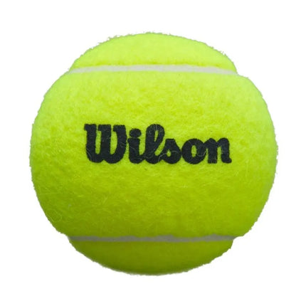 Wilson Premier Padel teniso kamuoliukai, 3 vnt. WR8908401001