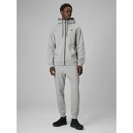 Men's regular hooded sweatshirt 4F 4FRMM00TSWSM3058-27M