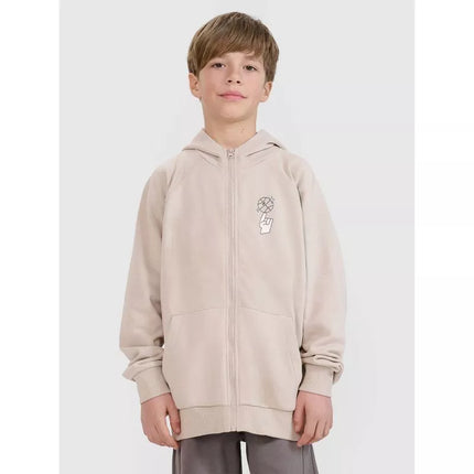 Boys' zip-up sweatshirt with hood 4F 4FJRSS25TSWSM2103-83S