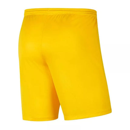 Nike Park III Knit Jr BV6865-719 Šortai
