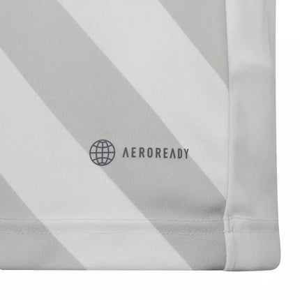 Adidas Entrada 22 Graphic marškinėliai Jr HF0120