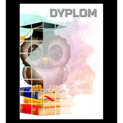 Paper diploma - owl (25 pcs.) DYP157