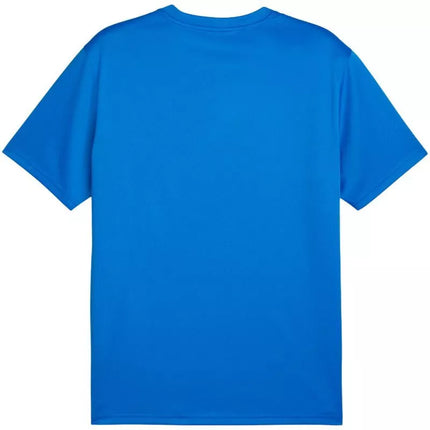 Men's Puma TeamGoal Jersey blue 658636 02