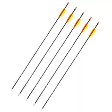Poe Lang 28" Stiklo Pluošto Strėlės - 5 Vnt. Rinkinys (D-055-B3)