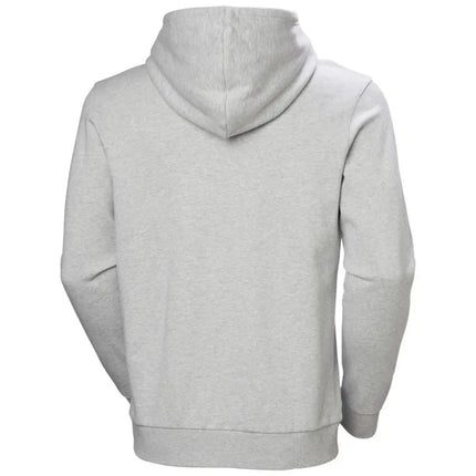 Helly Hansen vyrų HH LOGO džemperis su gobtuvu 54582 949