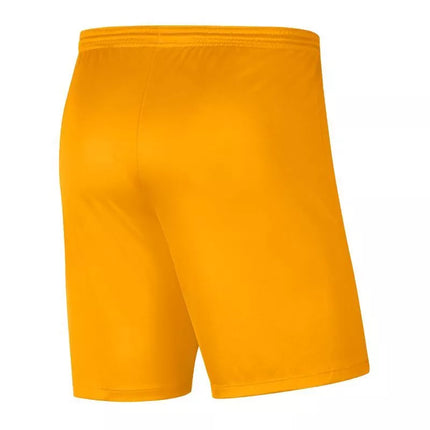 Nike Park III Knit Jr BV6865-739 Šortai