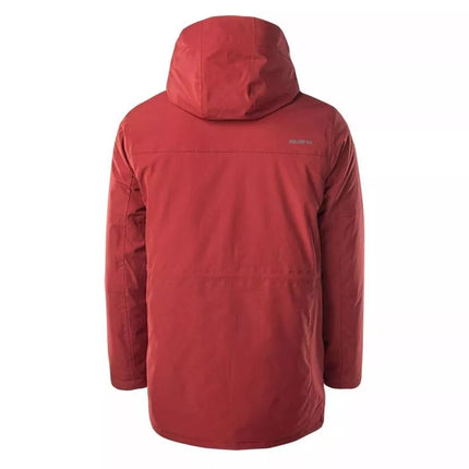 Iguana Nermin M striukė 92800439316