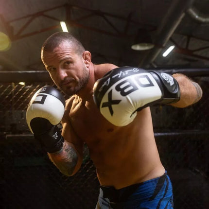 10oz Boxing Gloves - Harmony - Valor Series