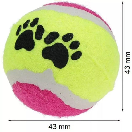 TENNIS BALL FOR DOGS 5 PCS