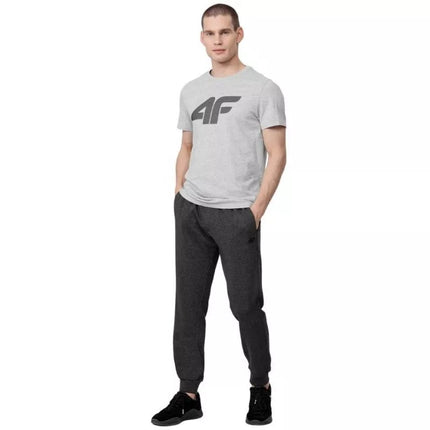 Marškinėliai 4F M H4Z22 TSM353 27M