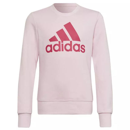 Adidas Big Logo SWT Jr HM8709 džemperis