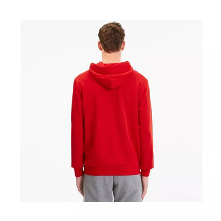 Puma TeamGoal 23 Casuals M 656580-01 džemperis