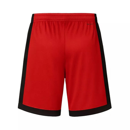 Air Jordan Vyriški sportiniai Dri-FIT krepšinio šortai, raudoni - DH9077-687
