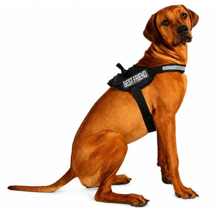 DOG HARNESS WITH REFLECTIVE TAPE 59 - 81 CM EXTRA LARGE