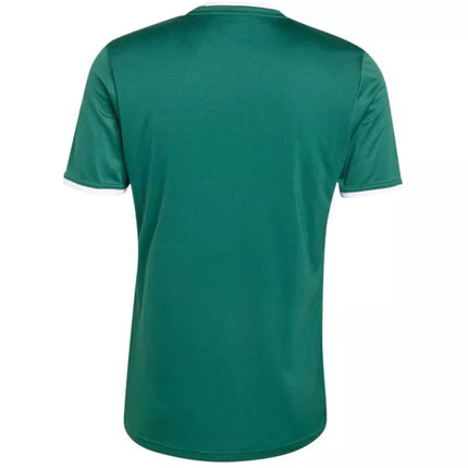 Men's adidas Entrada 26 Jersey green KE9832