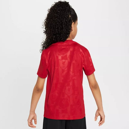 Nike Liverpool FC Academy Pro SS Top Jr FQ0013-688