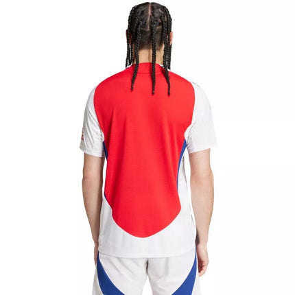 adidas Arsenal 24/25 Namų Autentiški Vyriški Marškinėliai Raudoni IT6140