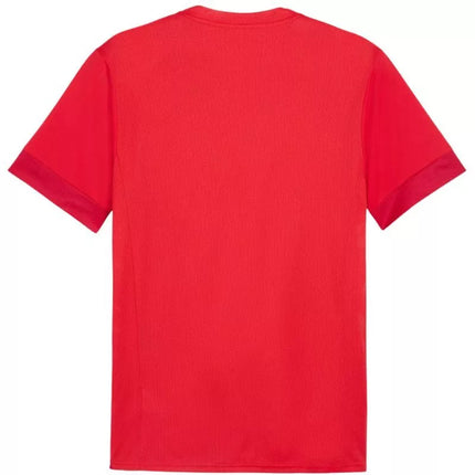 Puma teamGoal Matchday Jersey M 705747 01